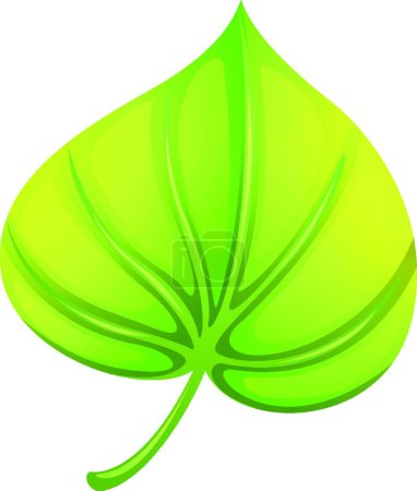 Illustration for "A heart-shaped leaf " - Royalty Free Image
