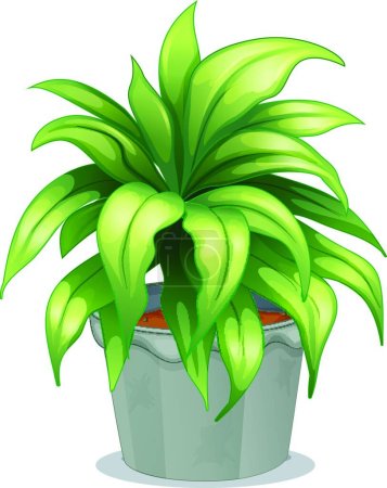 Illustration for Leafy plant, vector illustration simple design - Royalty Free Image