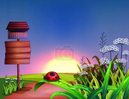 Illustration for A sunrise view  vector illustration - Royalty Free Image