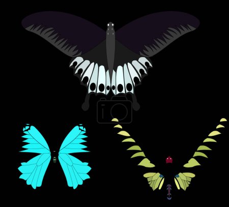 Téléchargez les illustrations : Ensemble papillons, illustration vectorielle design simple - en licence libre de droit