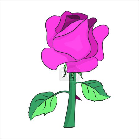 Illustration for Illustration of the pink rose - Royalty Free Image