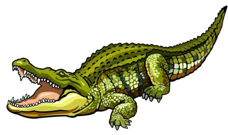 Téléchargez les illustrations : Crocodile de nile, illustration simple de toile - en licence libre de droit