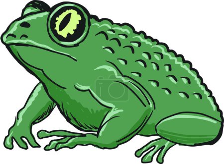Illustration for Toad, web simple illustration - Royalty Free Image