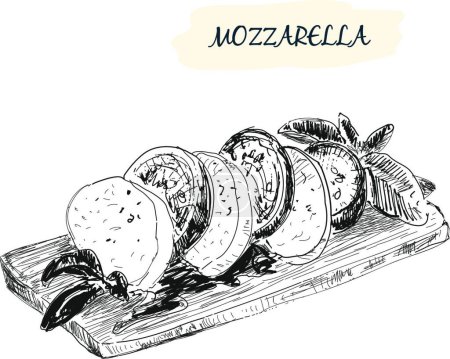 Téléchargez les illustrations : Mozzarella, illustration vectorielle graphique - en licence libre de droit