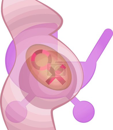 Illustration for Ultrasound pregnant girl, graphic vector illustration - Royalty Free Image
