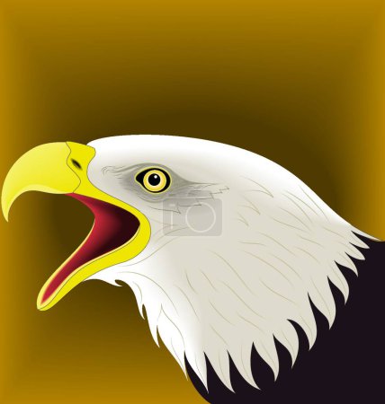 Illustration for Illustration of the Eagle Face - Royalty Free Image