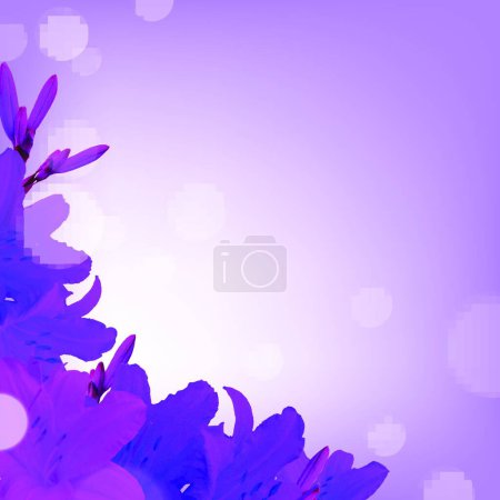 Illustration for Illustration of the Violet Lilies - Royalty Free Image