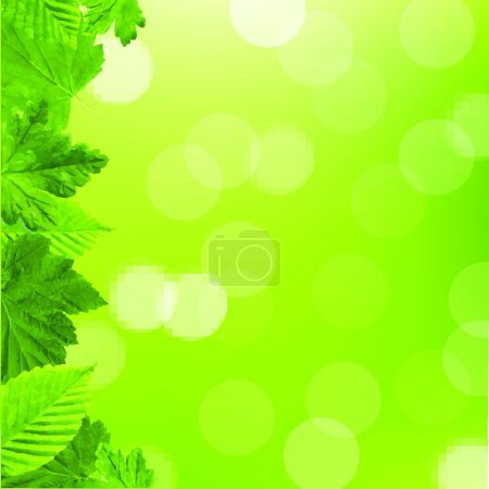 Illustration for Illustration of the Green Leaves Frame - Royalty Free Image