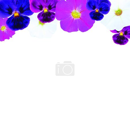 Illustration for Illustration of the Flowers Card - Royalty Free Image