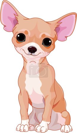 Illustration for Illustration of the Chihuahua - Royalty Free Image