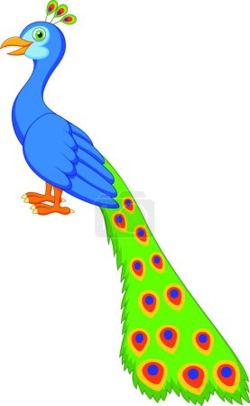 Téléchargez les illustrations : Illustration vectorielle de dessin animé de paon mignon - en licence libre de droit
