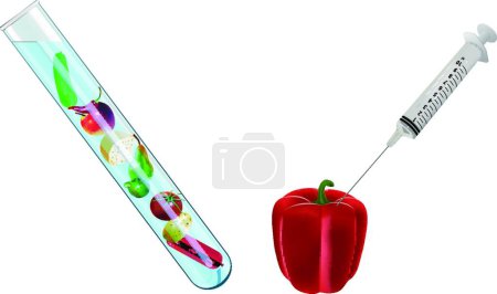 Illustration for "molecular gastronomy" colorful vector illustration - Royalty Free Image