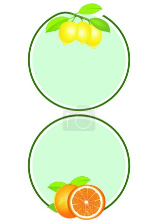Téléchargez les illustrations : Citrons Oranges Illustration vectorielle d'étiquette - en licence libre de droit