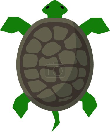 Téléchargez les illustrations : Illustration de tortue, illustration vectorielle élégante - en licence libre de droit