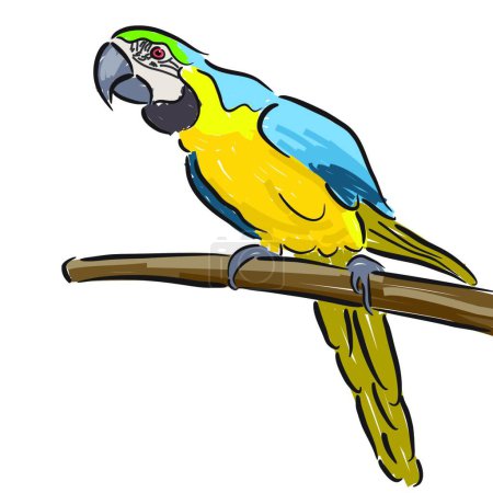 Illustration for Macaw icon, vector illustration simple design - Royalty Free Image