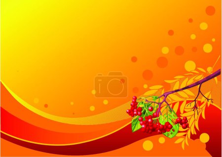 Illustration for Rowanberry on orange background, vector illustration simple design - Royalty Free Image