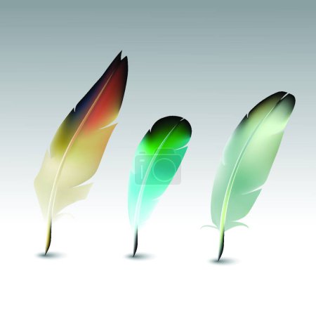 Illustration for Feathers set  vector illustration - Royalty Free Image