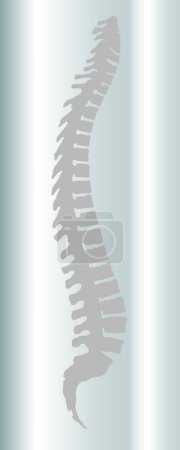 Illustration for Backbone flat icon, vector illustration - Royalty Free Image