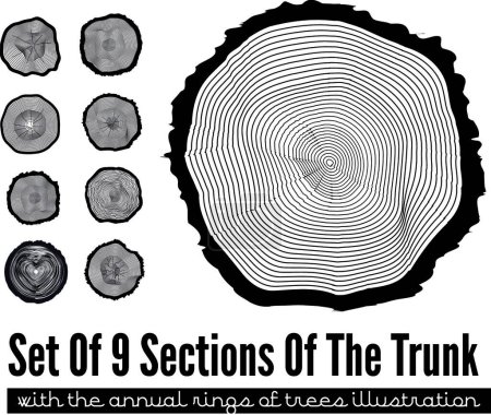 Téléchargez les illustrations : "Coupe transversale du tronc "icône plate, illustration vectorielle - en licence libre de droit