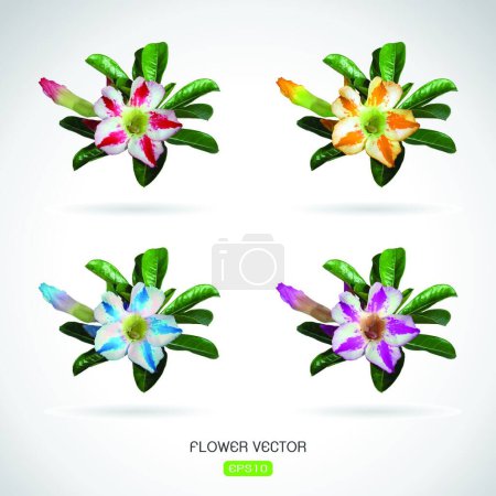 Illustration for "Vector image of adenium flower on white background" - Royalty Free Image