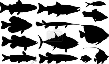 Illustration for Illustration of the fish - Royalty Free Image