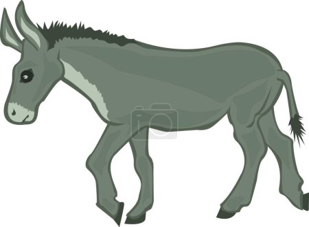 Illustration for Illustration of the Donkey - Royalty Free Image
