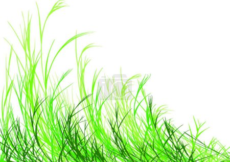 Téléchargez les illustrations : Fond d'herbe, illustration vectorielle conception simple - en licence libre de droit