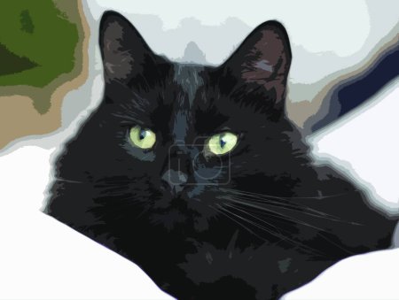 Illustration for "a handsome long haired black pussy cat" - Royalty Free Image