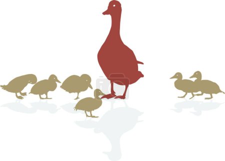 Illustration for Mallard with young ducklings - Royalty Free Image