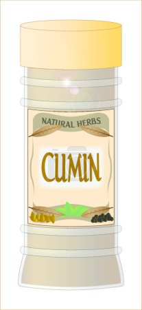 Illustration for Cumin Spice vector illustration - Royalty Free Image