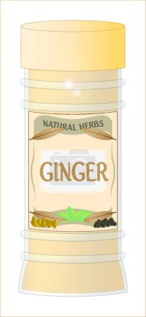 Illustration for Ginger Spice vector illustration - Royalty Free Image