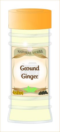 Illustration for Ground Ginger vector illustration - Royalty Free Image