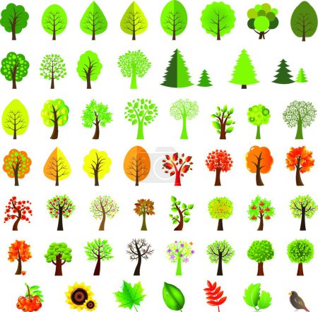 Ilustración de Árboles Big Set, ilustración vectorial diseño simple - Imagen libre de derechos