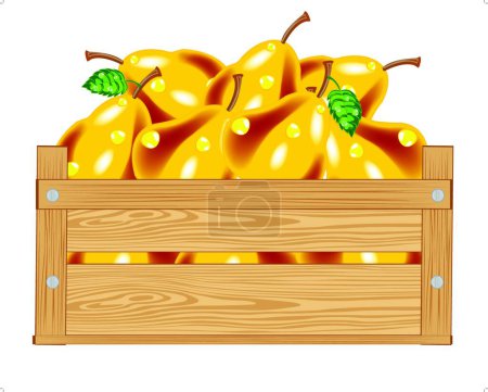 Illustration for Illustration of the Box with pear - Royalty Free Image