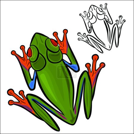 Illustration for Illustration of the Red-eyed tree frog - Royalty Free Image