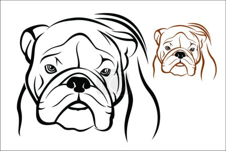 Illustration for English Bulldog, vector illustration simple design - Royalty Free Image