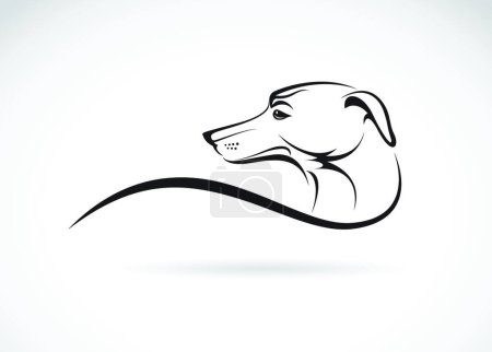 Téléchargez les illustrations : "Image vectorielle d'un chien (azawakh) sur fond blanc" - en licence libre de droit