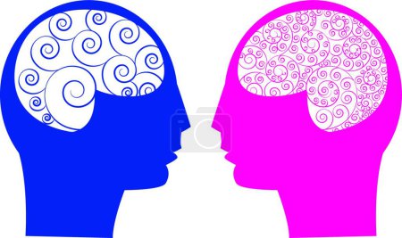 Ilustración de Cerebro abstracto masculino vs femenino - Imagen libre de derechos