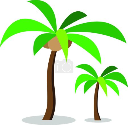 Téléchargez les illustrations : Deux cocotiers avec noix de coco, illustration vectorielle graphique - en licence libre de droit