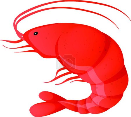 Téléchargez les illustrations : Icône vecteur crevettes rouges - en licence libre de droit