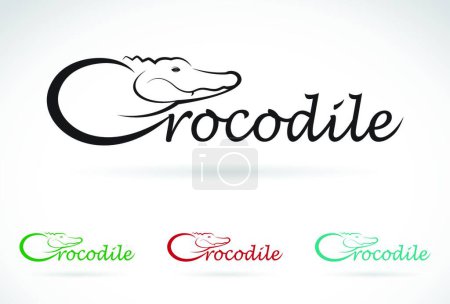 Illustration for "Vector design crocodile is text on a white background." - Royalty Free Image