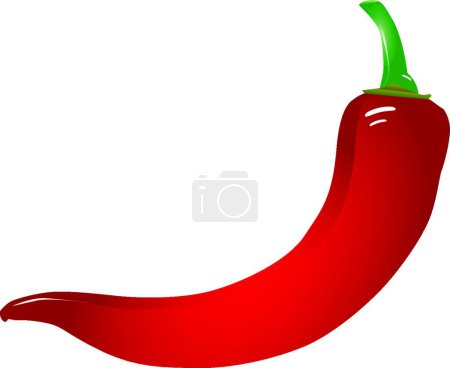 Illustration for Hot Mexican pepper  vector illustration - Royalty Free Image