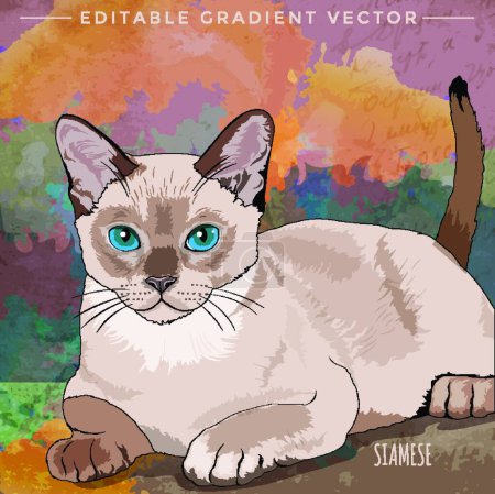 Illustration for Illustration of the House Cat - Royalty Free Image