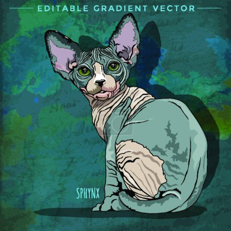 Illustration for Illustration of the Sphynx Cat - Royalty Free Image
