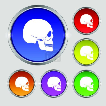 Illustration for Skull icon sign. Round symbol on bright colourful buttons. Vector - Royalty Free Image