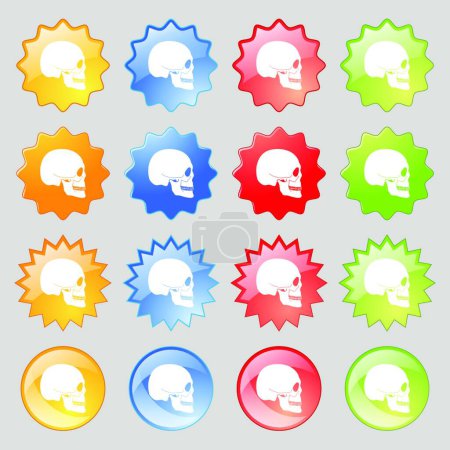 Illustration for "Skull icon sign. Big set of 16 colorful modern buttons for your design. Vector" - Royalty Free Image