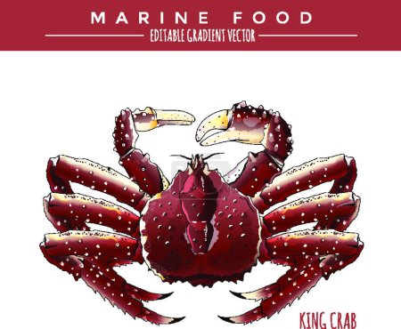 Illustration for King Crab. Marine Food - Royalty Free Image