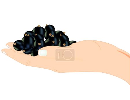 Illustration for Berry on palm, modern graphic illustration - Royalty Free Image