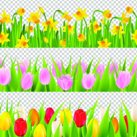 Illustration for Tulip And Narcissus Border With Transparent Background - Royalty Free Image