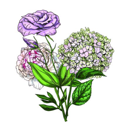 Illustration for Hand drawn bouquet of phlox, eustoma and peony flowers isolated on white background. Botanical vector illustration. - Royalty Free Image